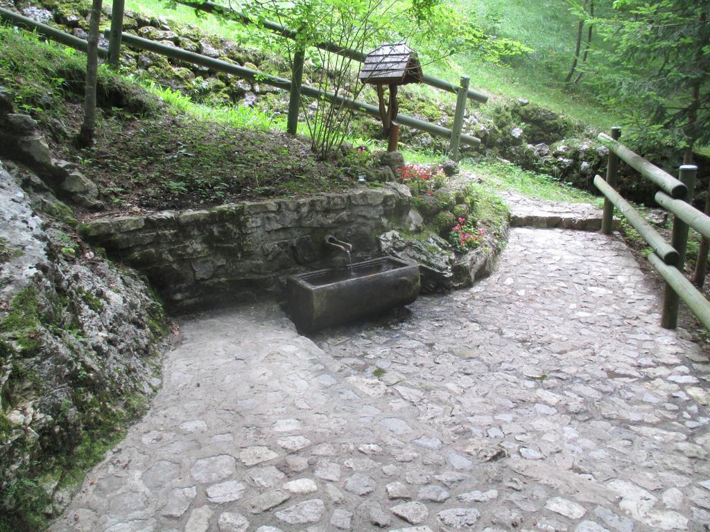 B&B L'Asinello Rampante Arta Terme Exterior foto